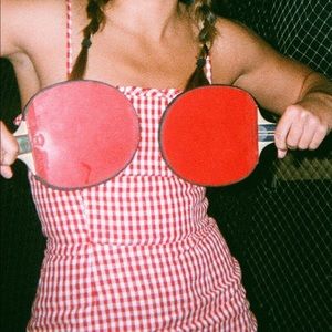 Reformation Red Check Dress